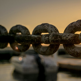 Grafik Jüngerschaft